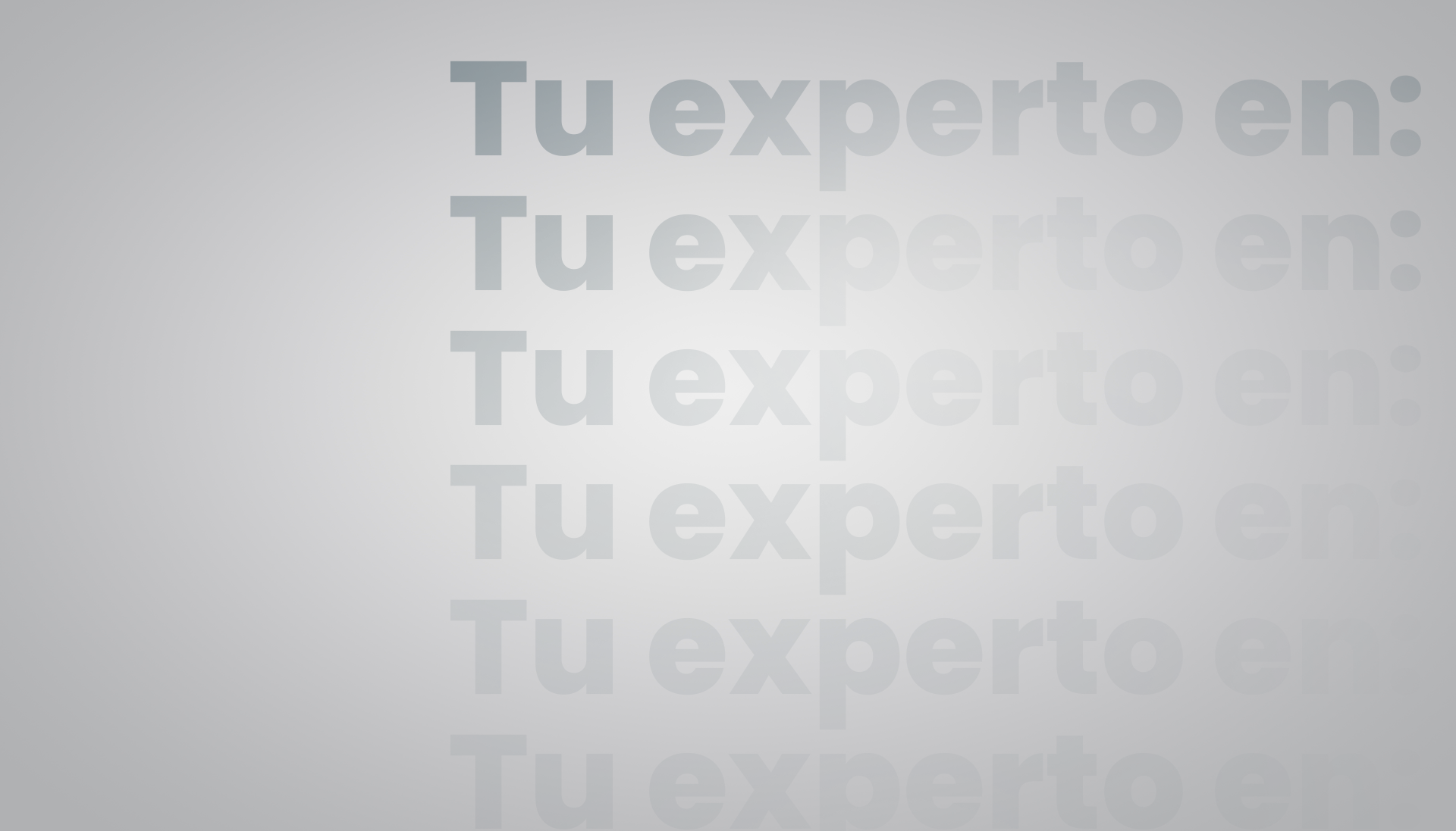 tu experto en