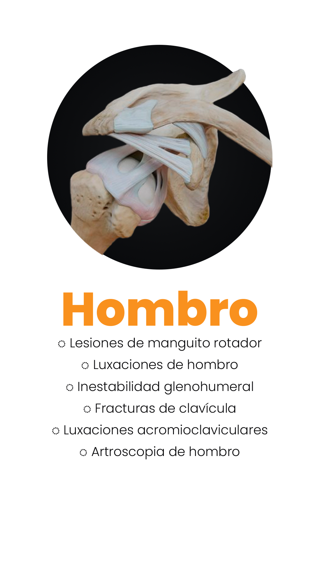 Hombro