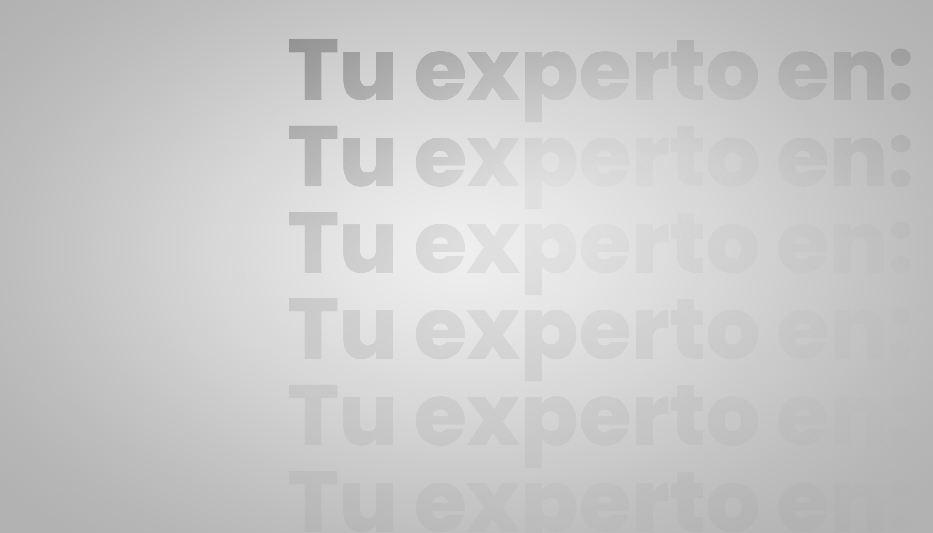 tu experto en